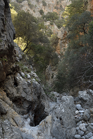 In the gorge - smaller format
