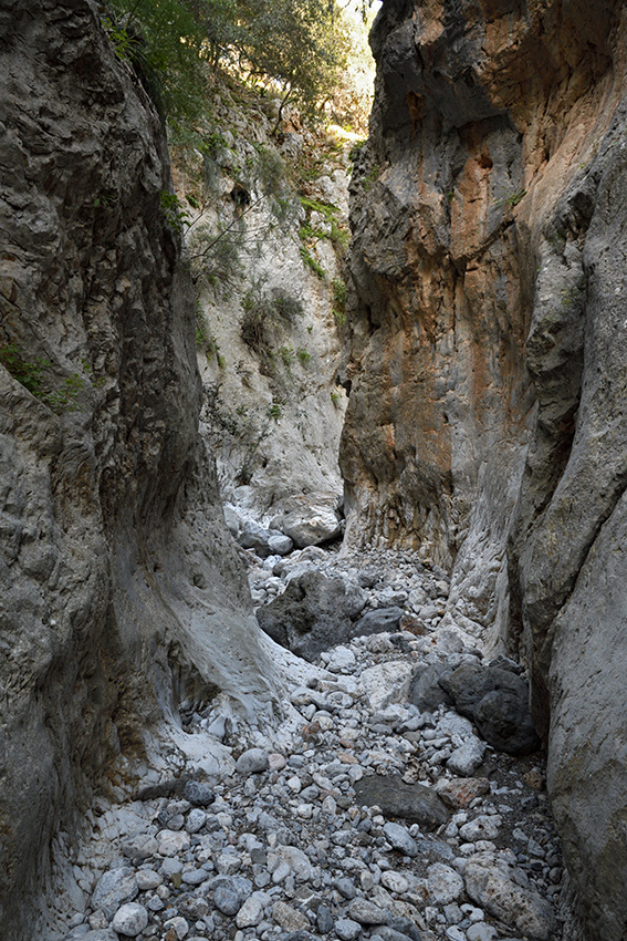 In the gorge - larger format