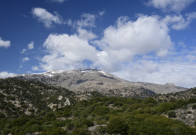 Katharo Tsivi - smaller format