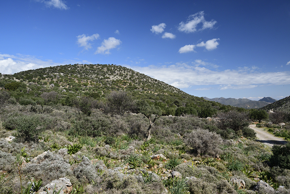 Landscape - larger format