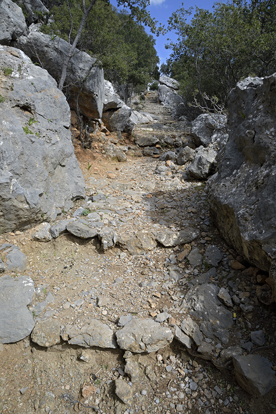 Old path - larger format