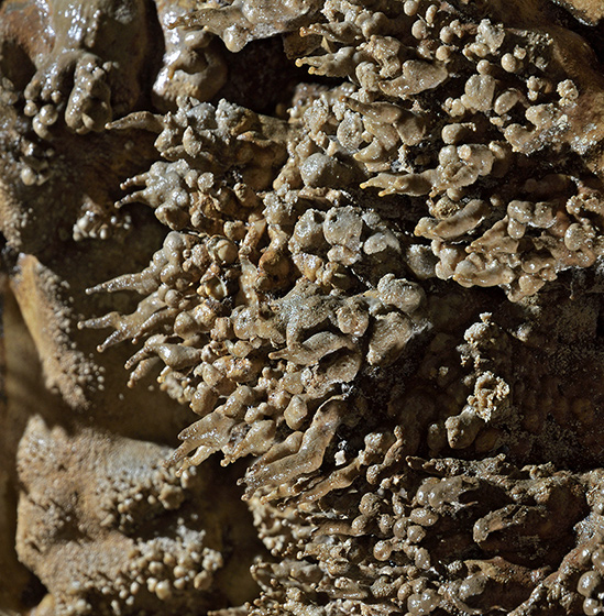 Pisolites - smaller format