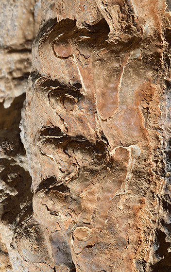 Anatomy of the dripstone - smaller format