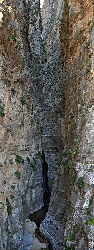 View into the gorge - larger format