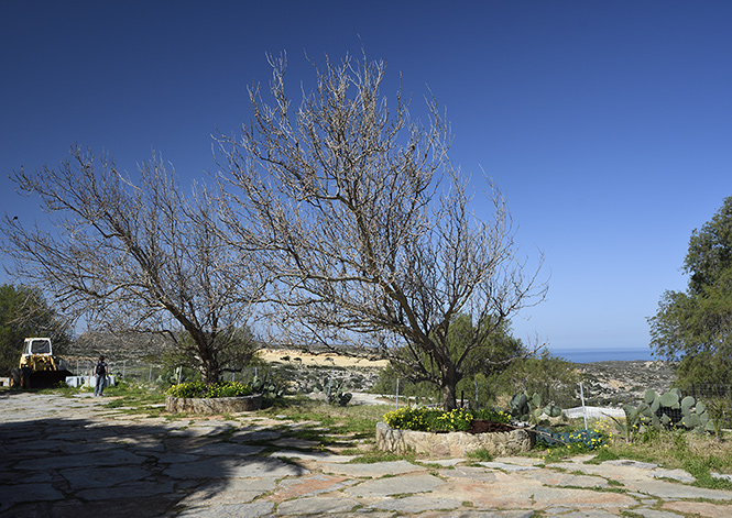 In front of the monastery - smaller format