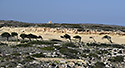 Landscape near the monastery - main link