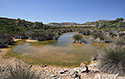 Marsh - main link