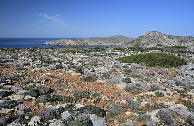 View to north - smaller format