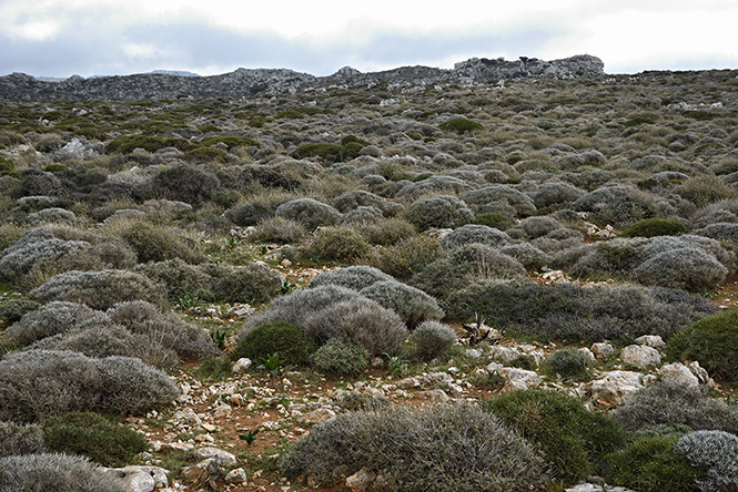 Landscape of Crete - smaller format