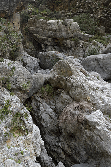 In the gorge - smaller format