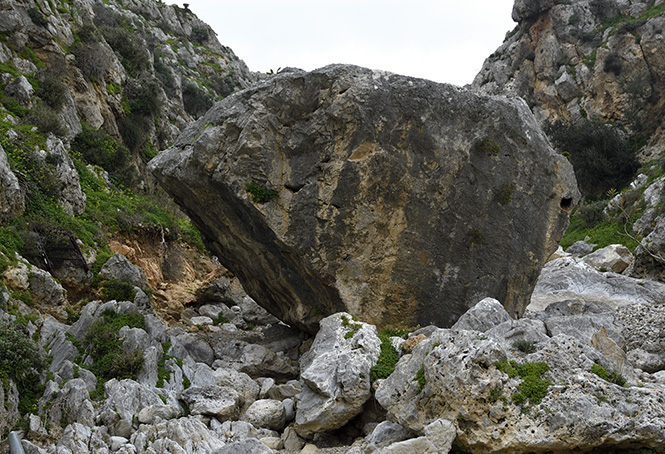 In the gorge - smaller format