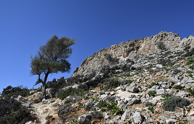 On the path to gorges - smaller format