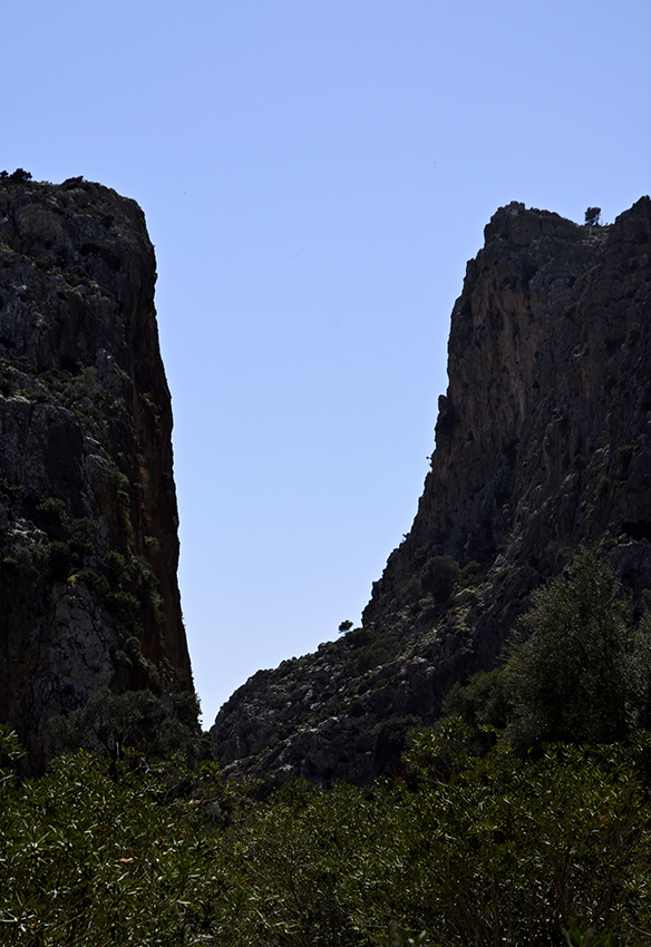 In the gorge - larger format