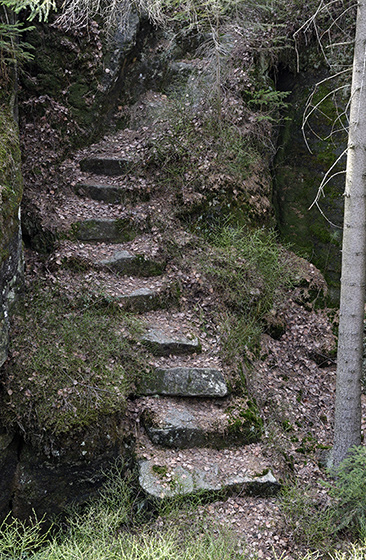 Hranin cesta - men formt