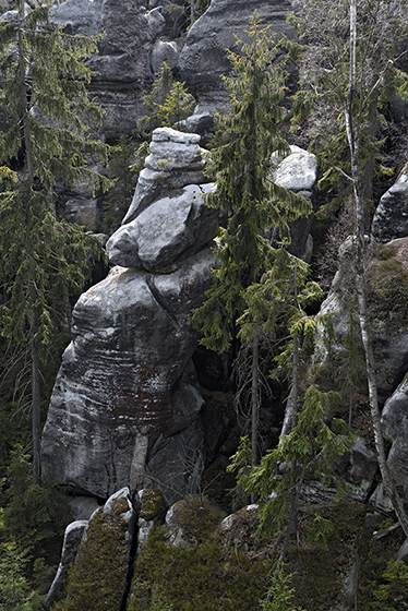 Kdesi ve skalch - men formt