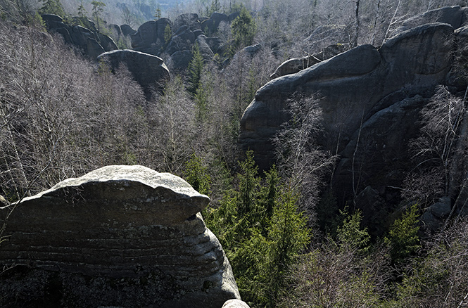 Rocky wilderness - smaller format