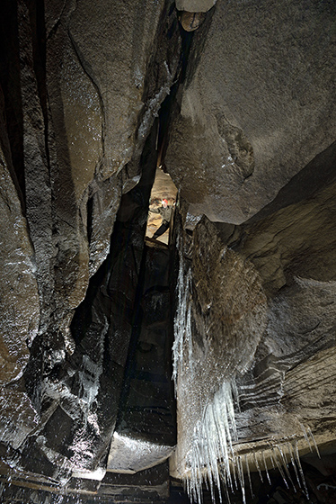 View up - smaller format