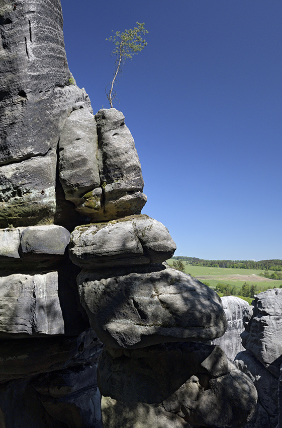 The "King" pillar - larger format