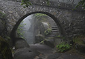 Paths - main link