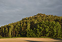 "Silver Hill" - main link