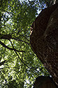 View from the sleeping bag - main link