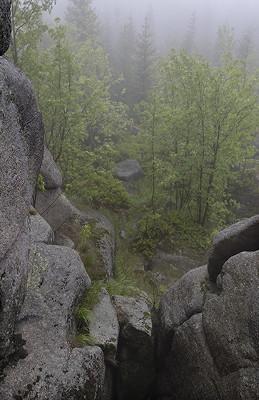 On "Poacher`s Stones" - smaller format