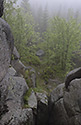 On "Poacher`s Stones" - main link