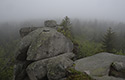 On "Poacher`s Stones" - main link