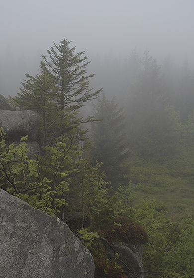 On "Poacher`s Stones" - smaller format