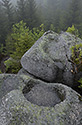 Rock dishes - main link