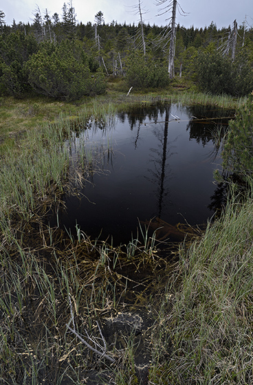 Black lakelets - smaller format