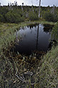 Black lakelets - main link