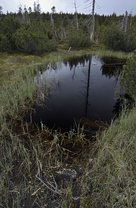 Black lakelets - larger format