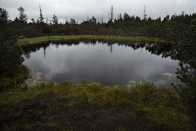 Black lakelets - smaller format