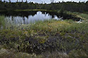 Black lakelets - main link
