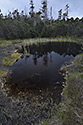 Black lakelets - main link