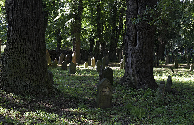 Jewish cemetery in "Uhnves" - smaller format