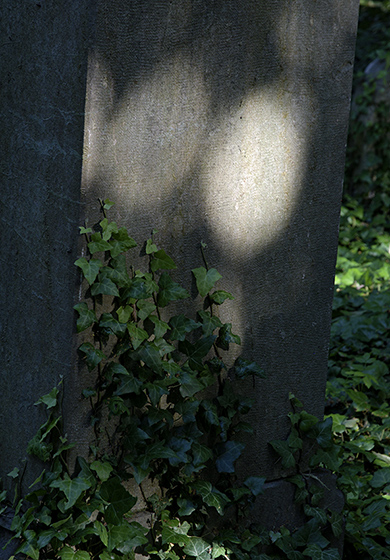 Jewish cemetery in "Uhnves" - smaller format