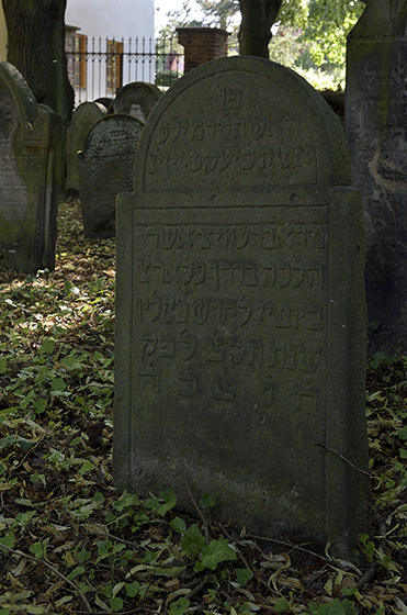 Jewish cemetery in "Uhnves" - smaller format