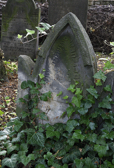 Jewish cemetery in "Uhnves" - smaller format