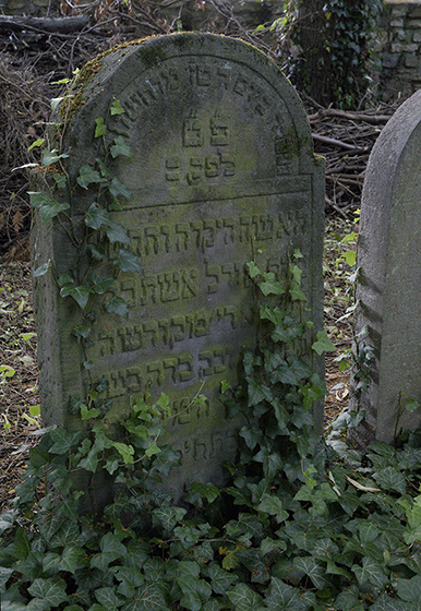 Jewish cemetery in "Uhnves" - smaller format