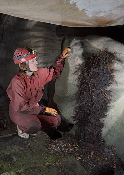 The biggest root stalagmite - smaller format