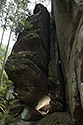 Tove`s Cave - main link