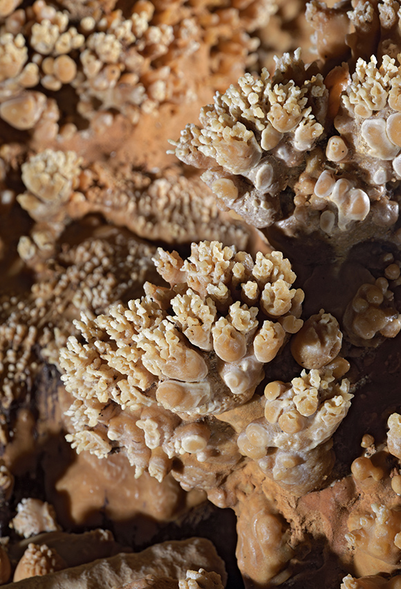 Jeskynní korál - větší formát