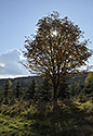 Hillside near "Skalka" - main link