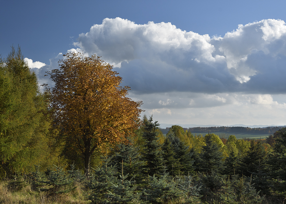 Ve strnch nad Skalkou - vt formt