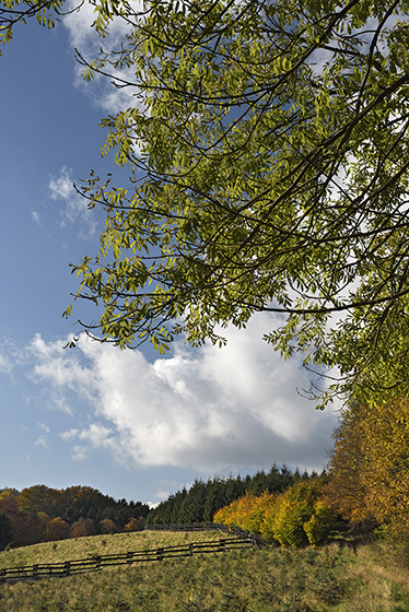 Ve strnch nad Skalkou - men formt