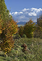 Hillside near "Skalka" - main link