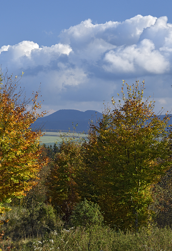 Ve strnch nad Skalkou - vt formt