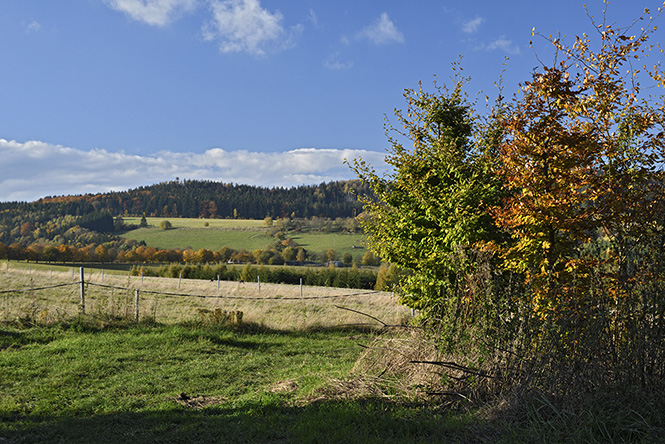 Ve strnch nad Skalkou - men formt